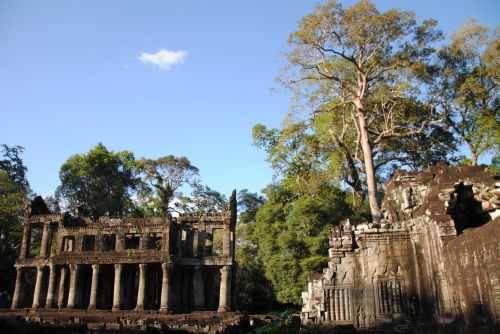 ANGKOR WAT HALF MARATHON 2013